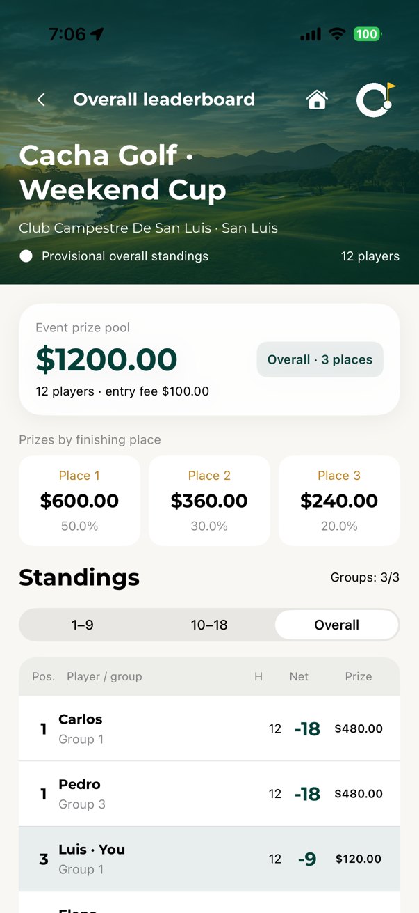Overall leaderboard