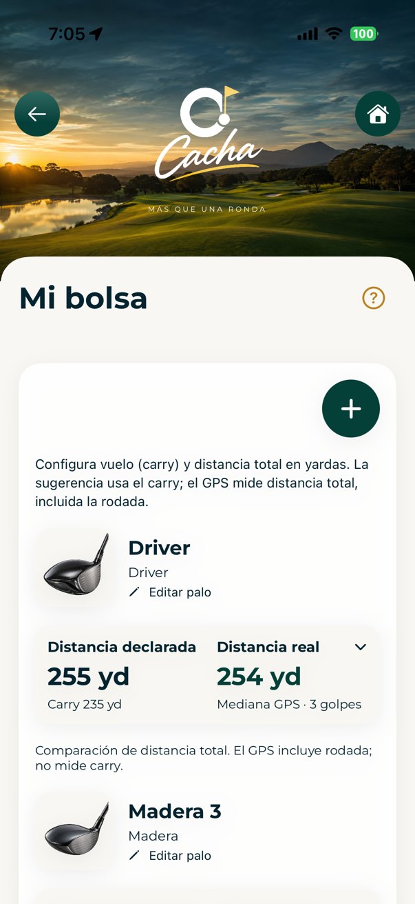 Mi bolsa